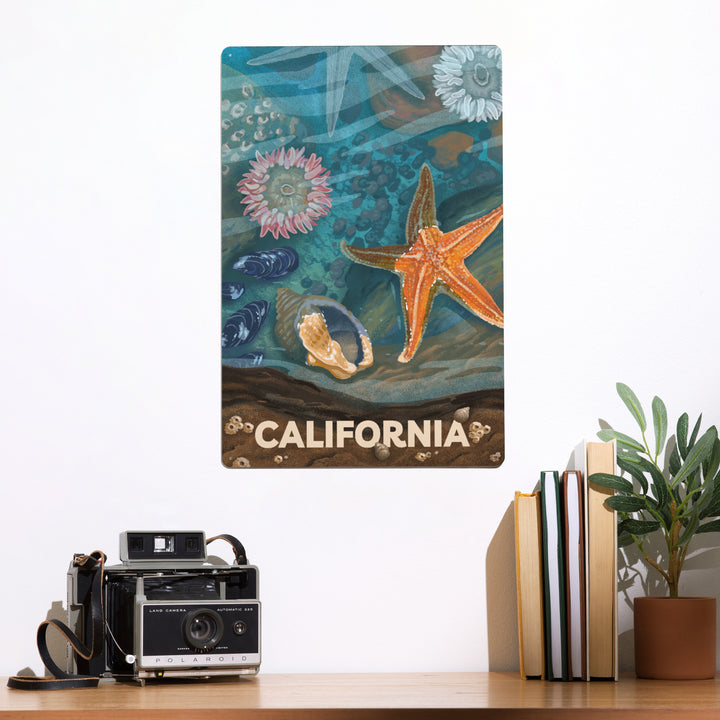 California, Tiny World Huge Wonders, Coastal Series, Starfish and Shells, Metal Signs
