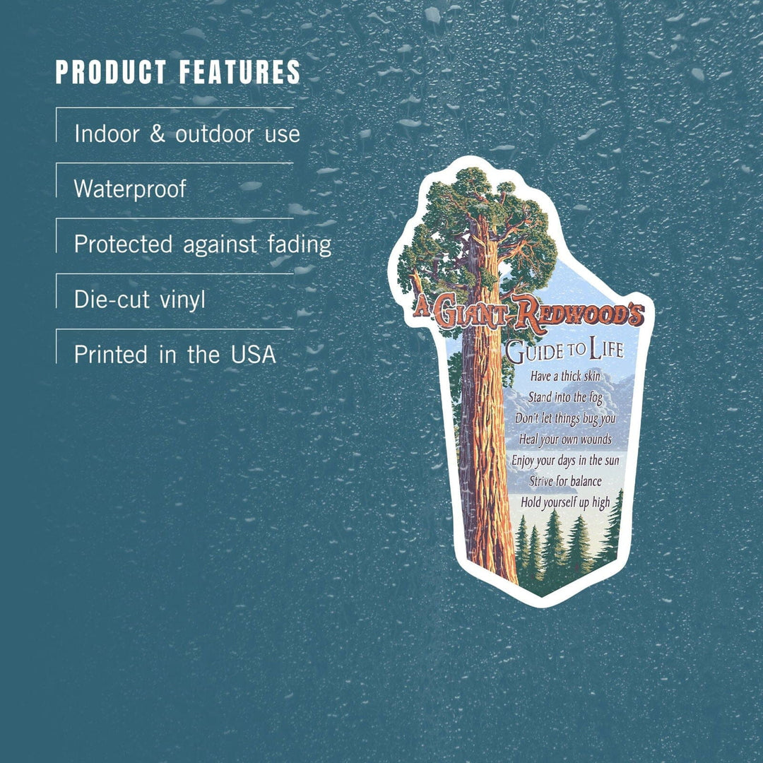 A Giant Redwood's Guide to Life, Contour, Vinyl Sticker Sticker Lantern Press