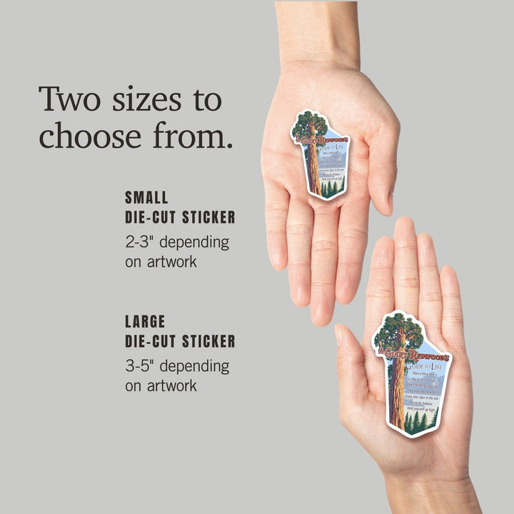 A Giant Redwood's Guide to Life, Contour, Vinyl Sticker Sticker Lantern Press