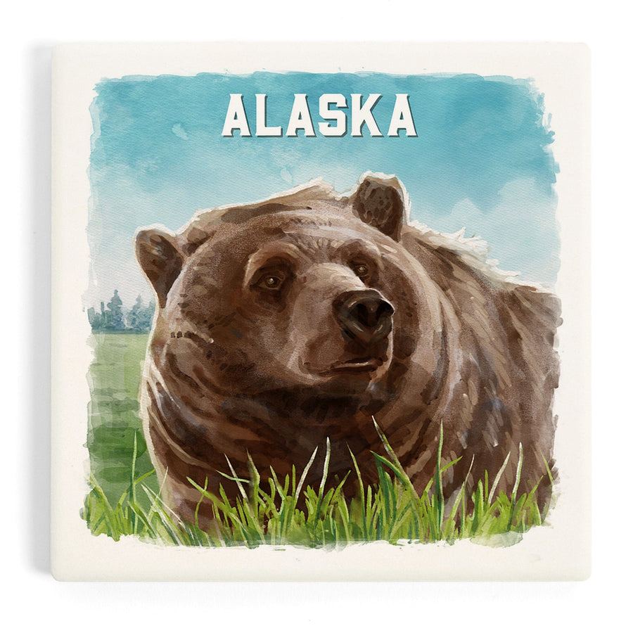 Alaska, Watercolor Study, Grizzly Bear, Coasters Coasters Lantern Press