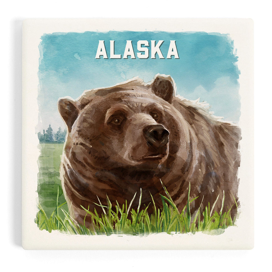 Alaska, Watercolor Study, Grizzly Bear, Coasters Coasters Lantern Press Coaster