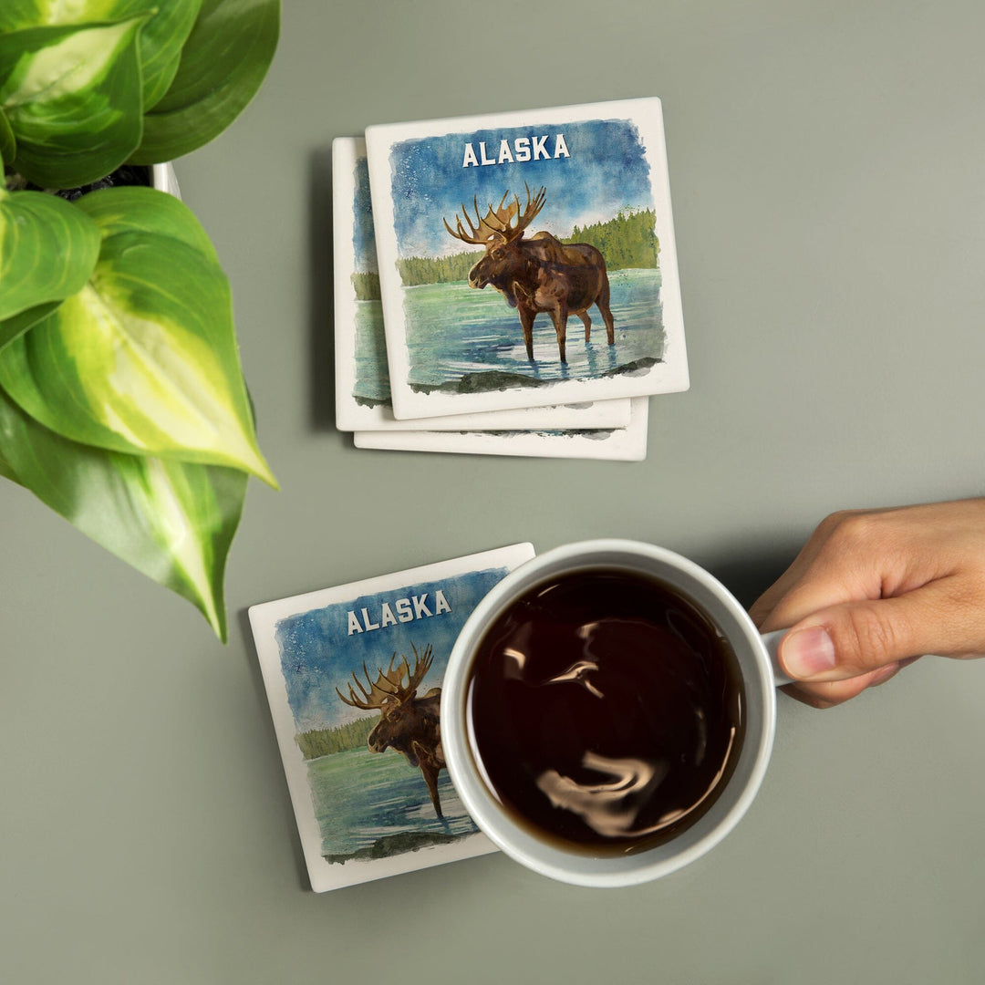 Alaska, Watercolor Study, Moose, Coasters Coasters Lantern Press