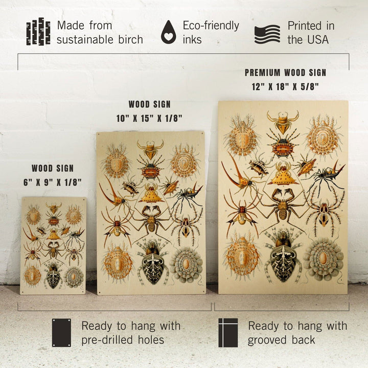 Art Forms of Nature, Arachnida (Spiders), Ernst Haeckel Artwork, Wood Signs and Postcards Wood Lantern Press