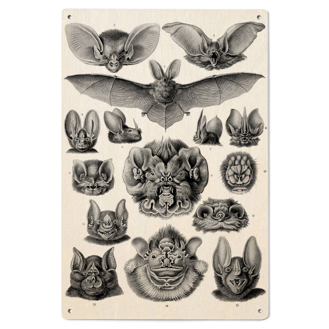 Art Forms of Nature, Chiroptera (Bats), Ernst Haeckel Artwork, Wood Signs and Postcards Wood Lantern Press