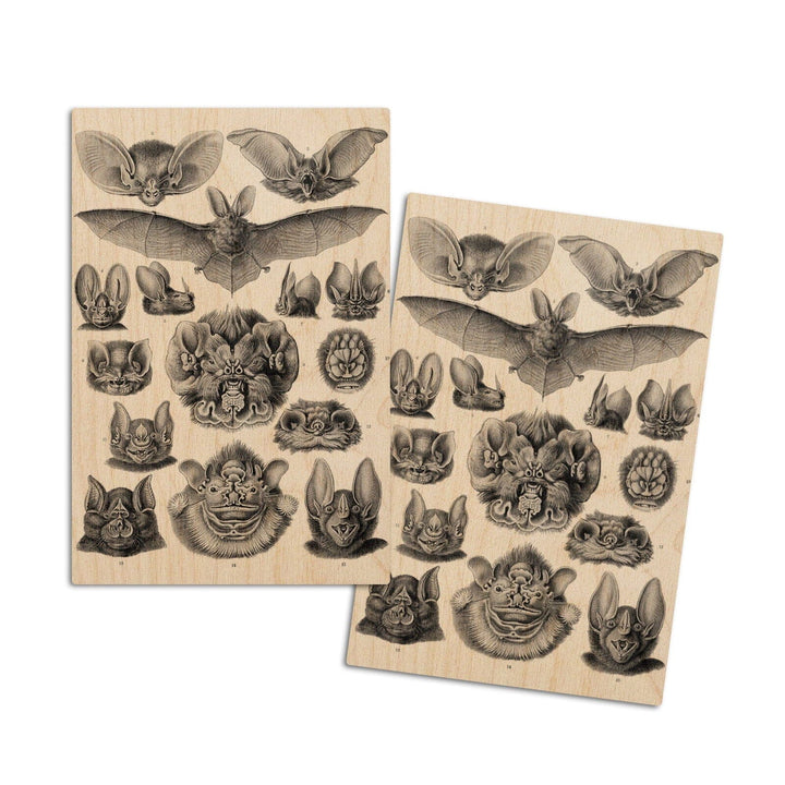 Art Forms of Nature, Chiroptera (Bats), Ernst Haeckel Artwork, Wood Signs and Postcards Wood Lantern Press 4x6 Wood Postcard Set