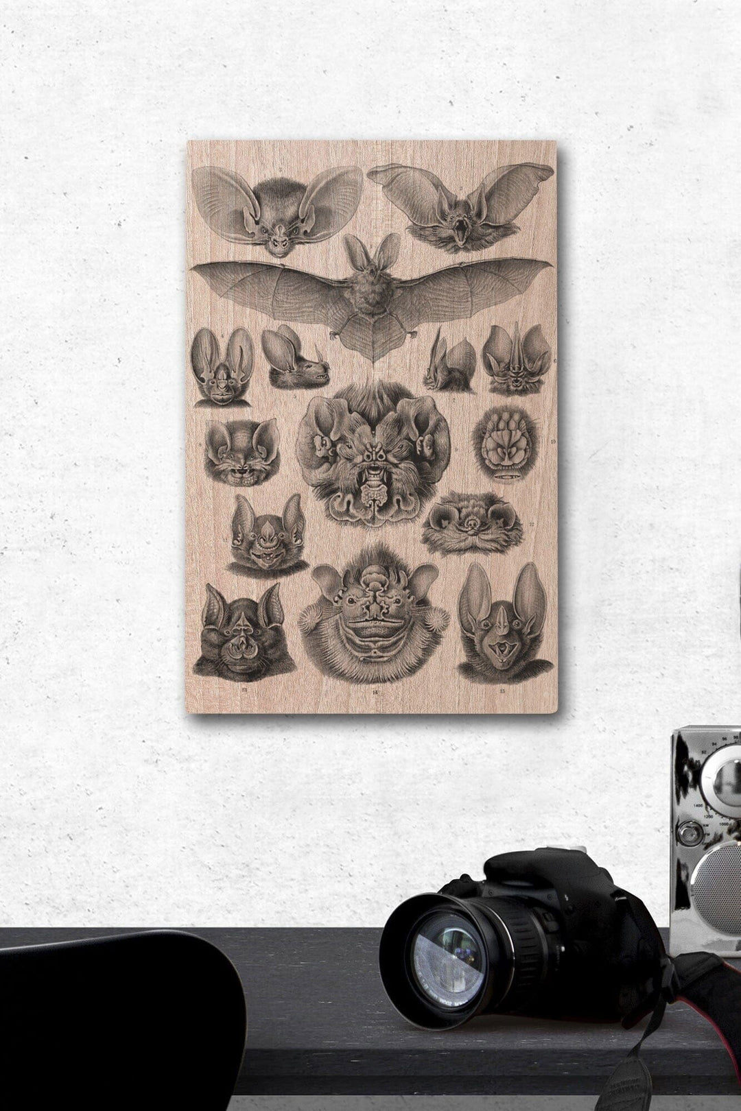 Art Forms of Nature, Chiroptera (Bats), Ernst Haeckel Artwork, Wood Signs and Postcards Wood Lantern Press