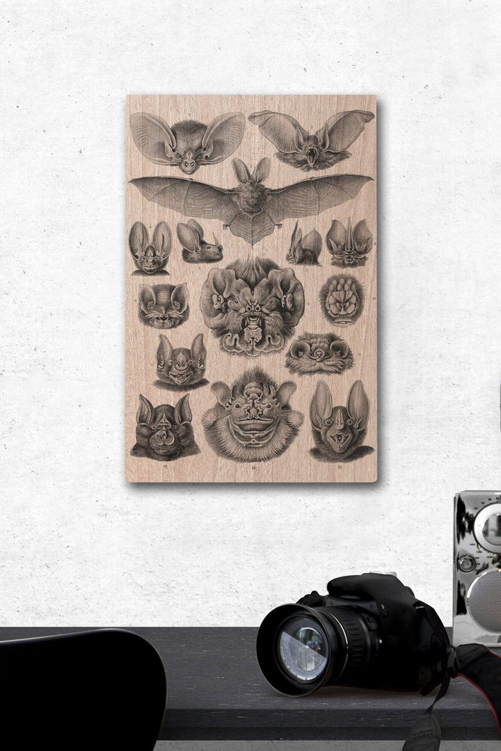 Art Forms of Nature, Chiroptera (Bats), Ernst Haeckel Artwork, Wood Signs and Postcards Wood Lantern Press