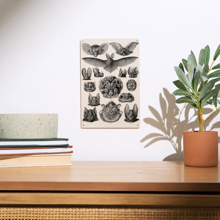 Art Forms of Nature, Chiroptera (Bats), Ernst Haeckel Artwork, Wood Signs and Postcards Wood Lantern Press