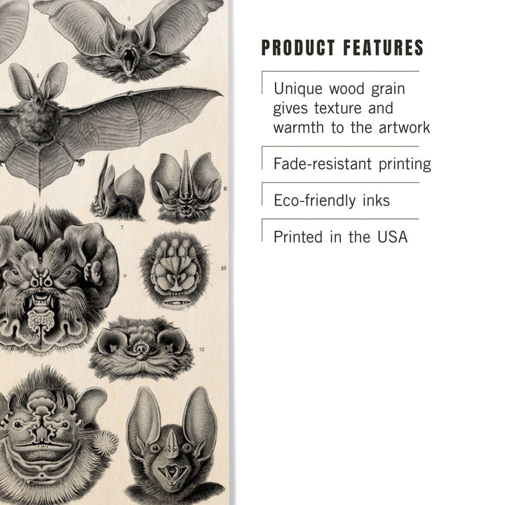 Art Forms of Nature, Chiroptera (Bats), Ernst Haeckel Artwork, Wood Signs and Postcards Wood Lantern Press
