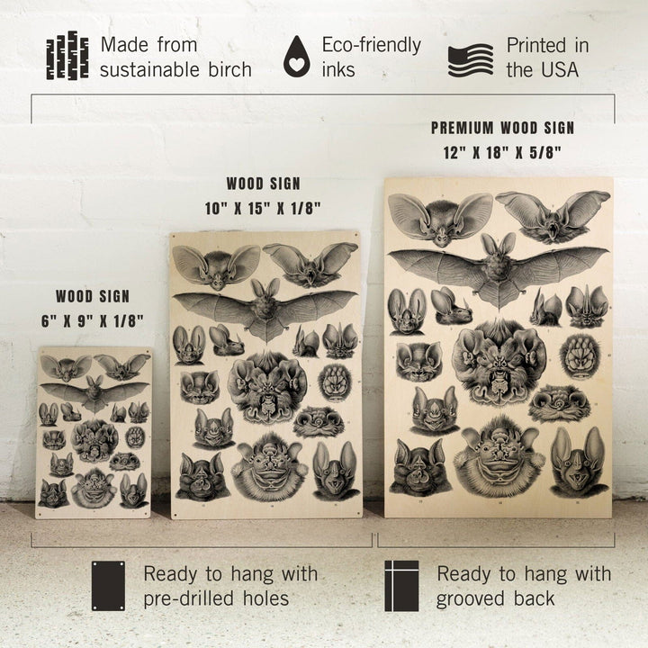 Art Forms of Nature, Chiroptera (Bats), Ernst Haeckel Artwork, Wood Signs and Postcards Wood Lantern Press