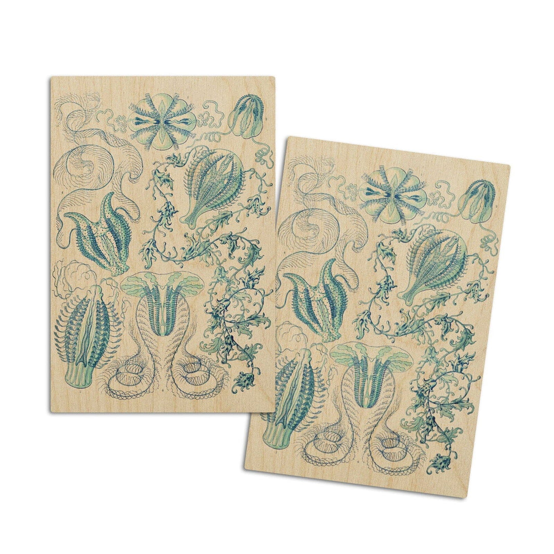 Art Forms of Nature, Ctenophorae, Ernst Haeckel Artwork, Wood Signs and Postcards Wood Lantern Press