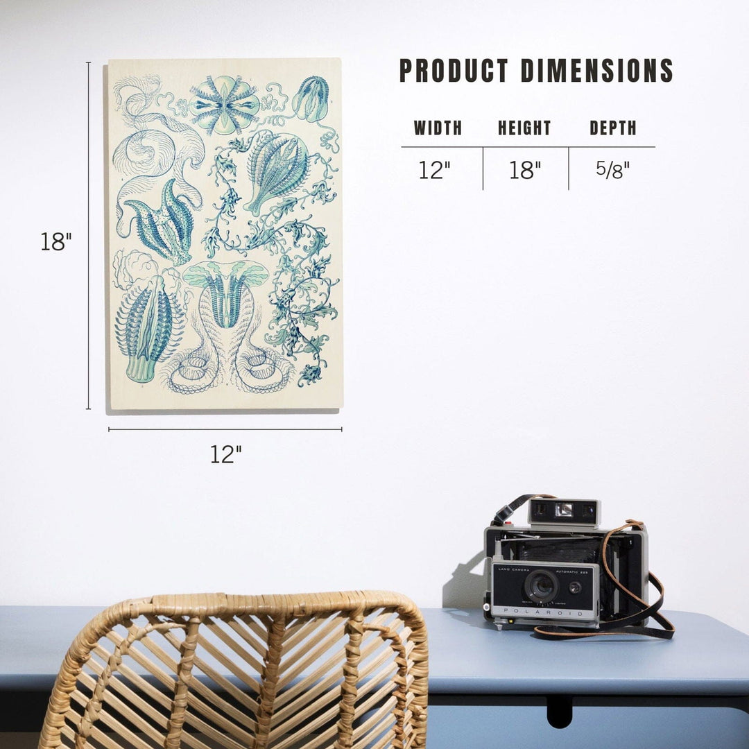 Art Forms of Nature, Ctenophorae, Ernst Haeckel Artwork, Wood Signs and Postcards Wood Lantern Press