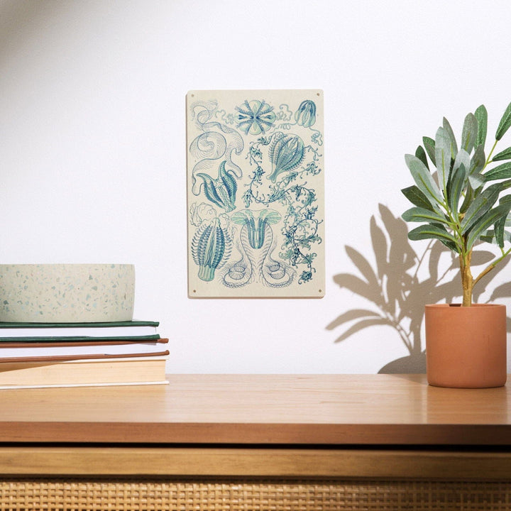 Art Forms of Nature, Ctenophorae, Ernst Haeckel Artwork, Wood Signs and Postcards Wood Lantern Press