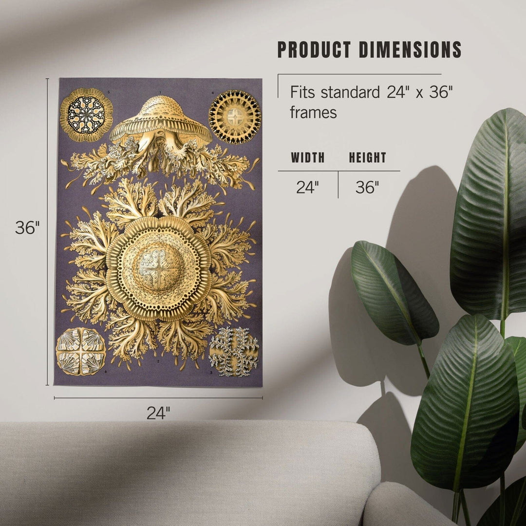 Art Forms of Nature, Discomedusae Yellow (Jellyfish), Ernst Haeckel Artwork, Art & Giclee Prints Art Lantern Press