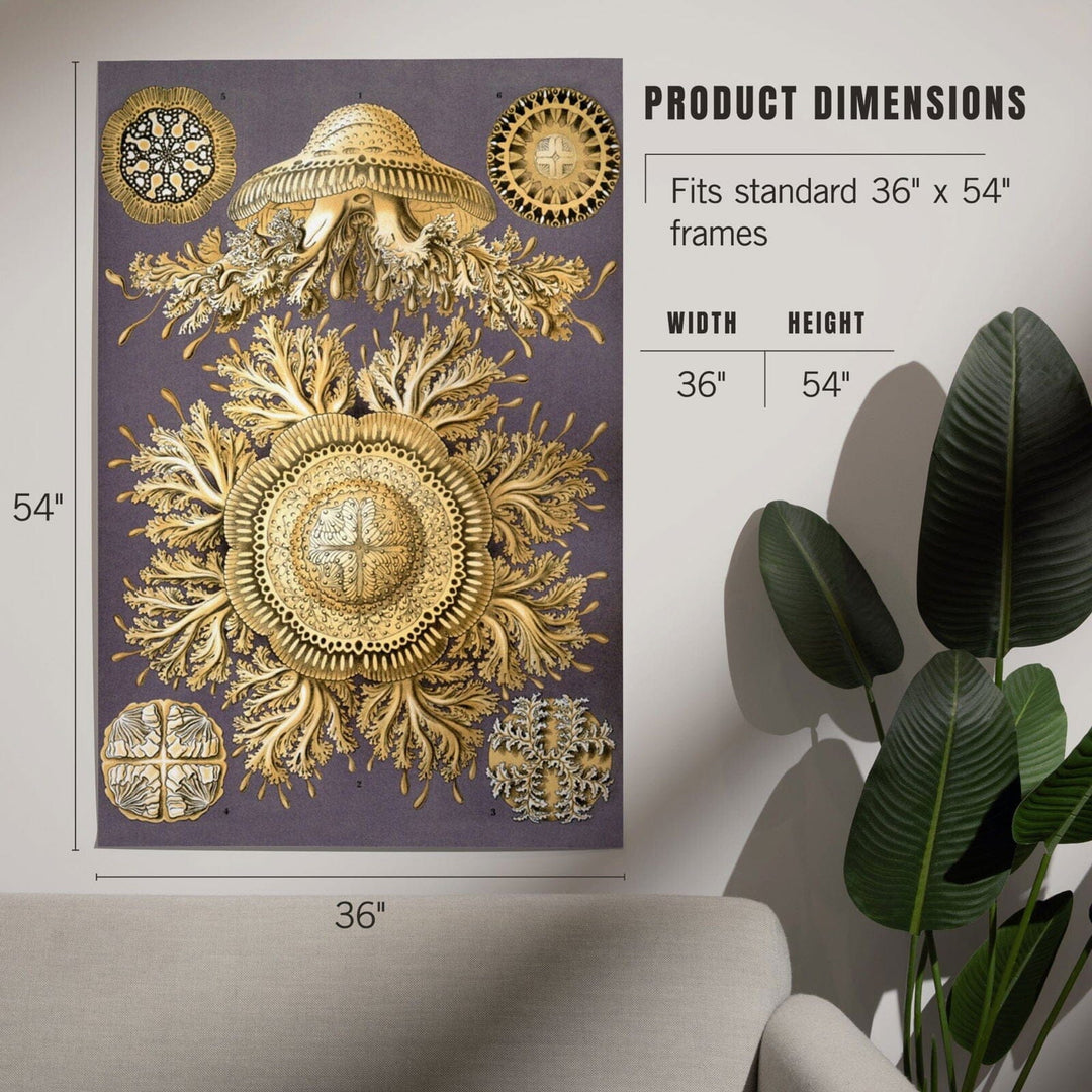 Art Forms of Nature, Discomedusae Yellow (Jellyfish), Ernst Haeckel Artwork, Art & Giclee Prints Art Lantern Press