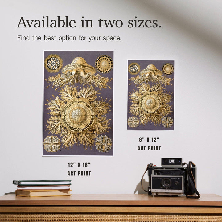 Art Forms of Nature, Discomedusae Yellow (Jellyfish), Ernst Haeckel Artwork, Art & Giclee Prints Art Lantern Press