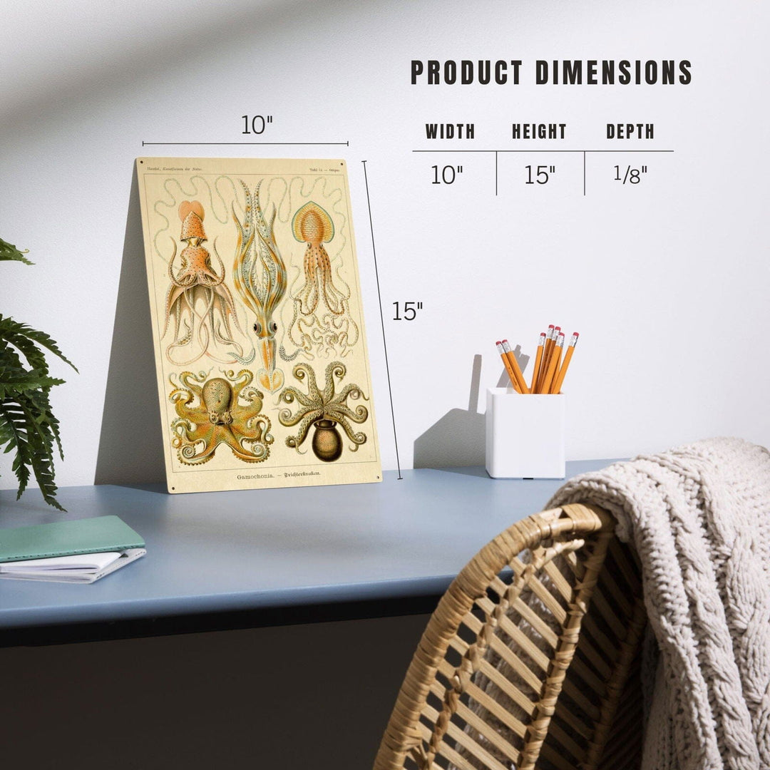 Art Forms of Nature, Gamochonia (Octopuses & Squids), Ernst Haeckel Artwork, Wood Signs and Postcards Wood Lantern Press