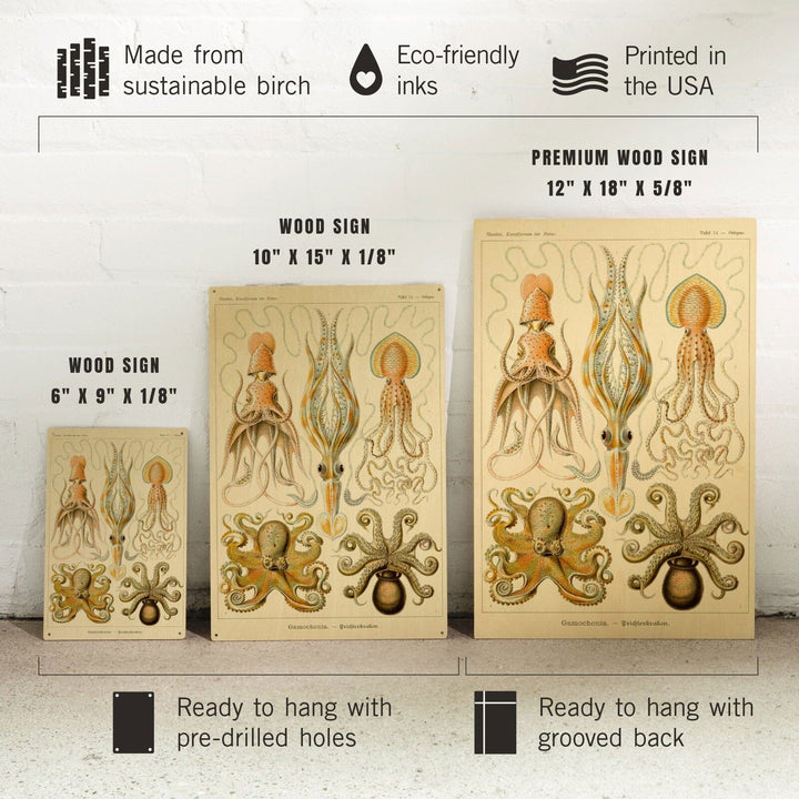 Art Forms of Nature, Gamochonia (Octopuses & Squids), Ernst Haeckel Artwork, Wood Signs and Postcards Wood Lantern Press