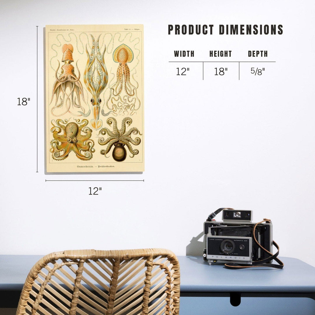 Art Forms of Nature, Gamochonia (Octopuses & Squids), Ernst Haeckel Artwork, Wood Signs and Postcards Wood Lantern Press