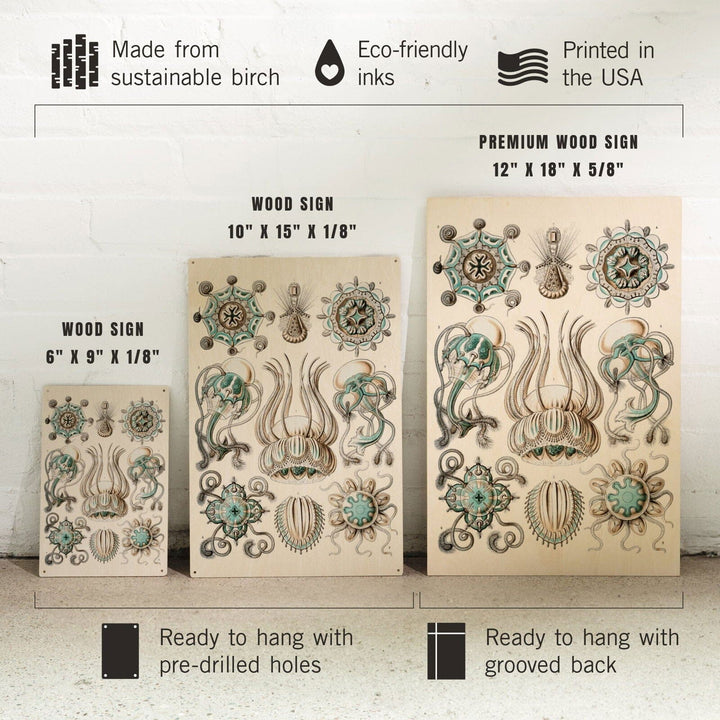 Art Forms of Nature, Narcomedusae, Ernst Haeckel Artwork, Wood Signs and Postcards Wood Lantern Press