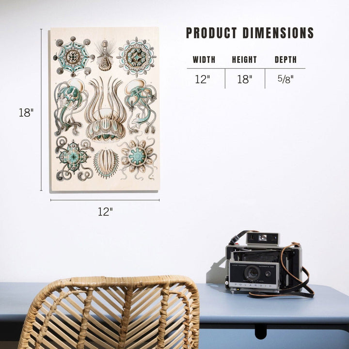 Art Forms of Nature, Narcomedusae, Ernst Haeckel Artwork, Wood Signs and Postcards Wood Lantern Press