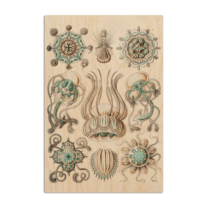 Art Forms of Nature, Narcomedusae, Ernst Haeckel Artwork, Wood Signs and Postcards Wood Lantern Press 6x9 Wood Sign