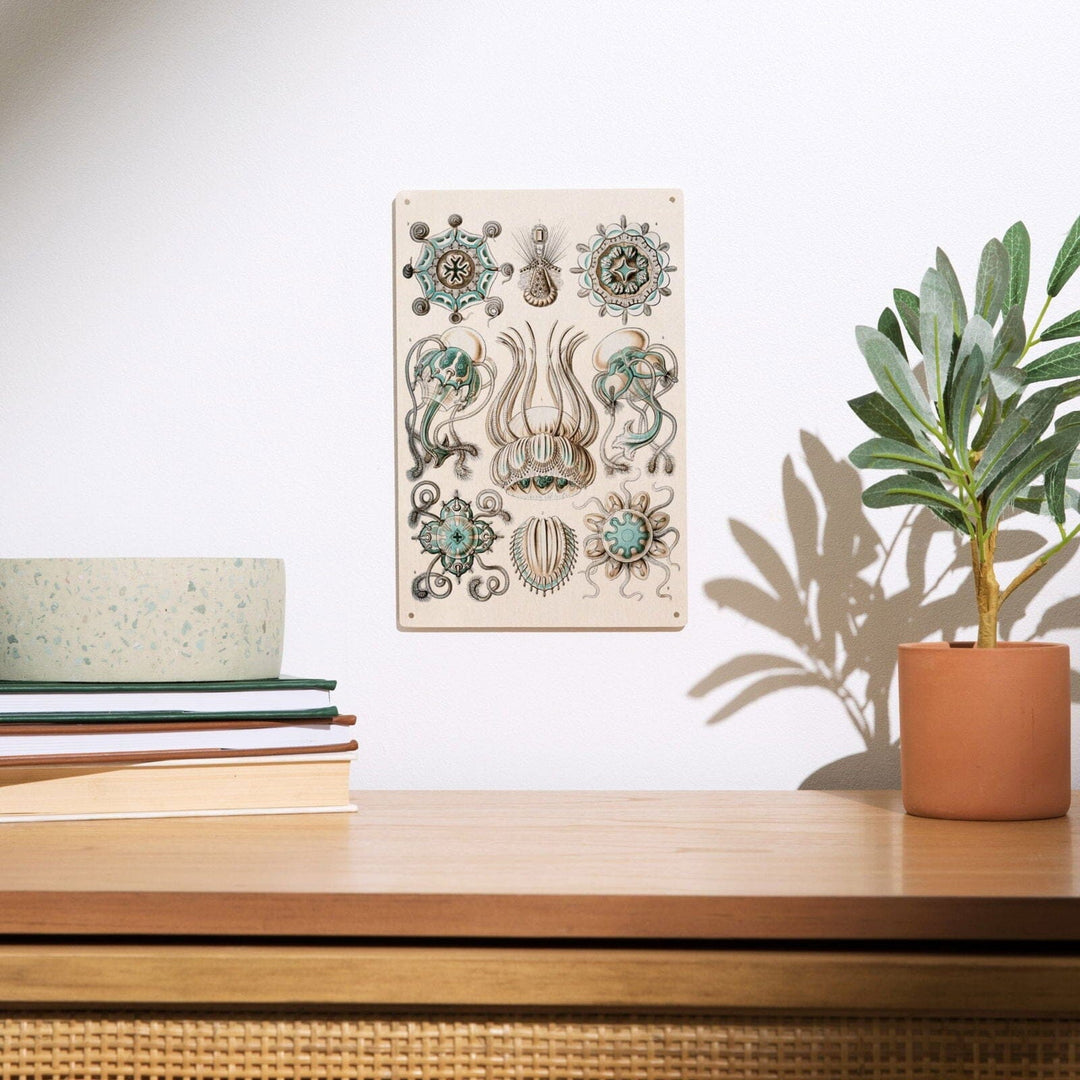 Art Forms of Nature, Narcomedusae, Ernst Haeckel Artwork, Wood Signs and Postcards Wood Lantern Press