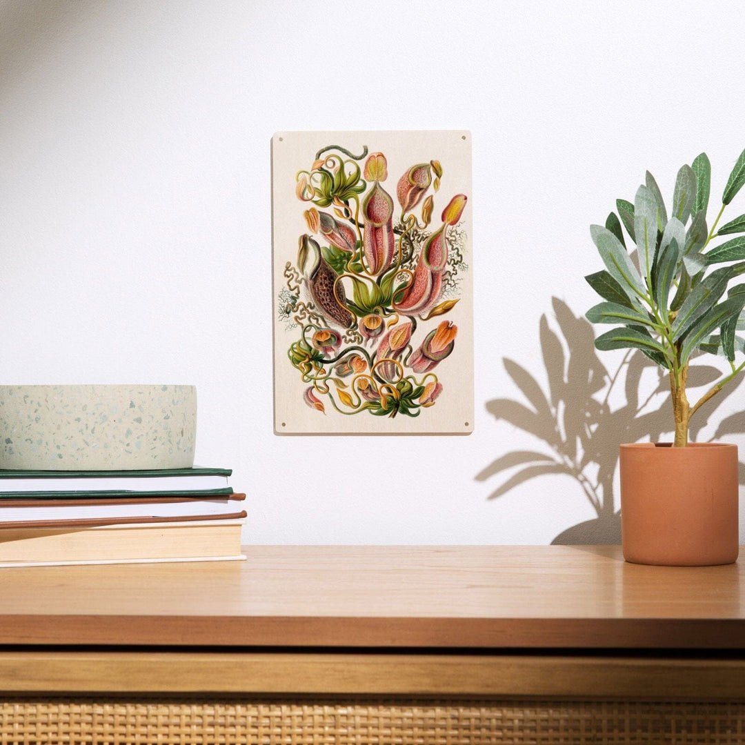 Art Forms of Nature, Nepenthaceae (Plant), Ernst Haeckel Artwork, Wood Signs and Postcards Wood Lantern Press