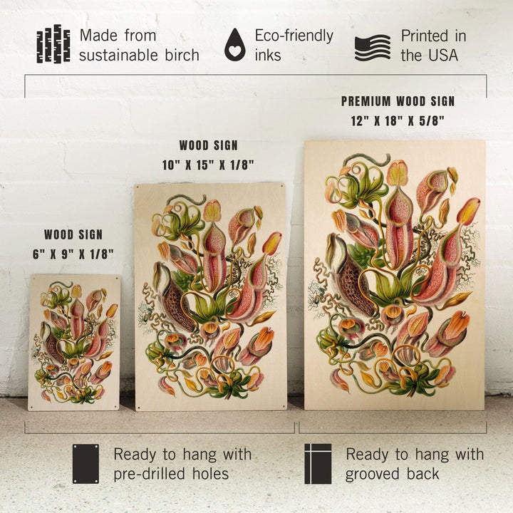 Art Forms of Nature, Nepenthaceae (Plant), Ernst Haeckel Artwork, Wood Signs and Postcards Wood Lantern Press