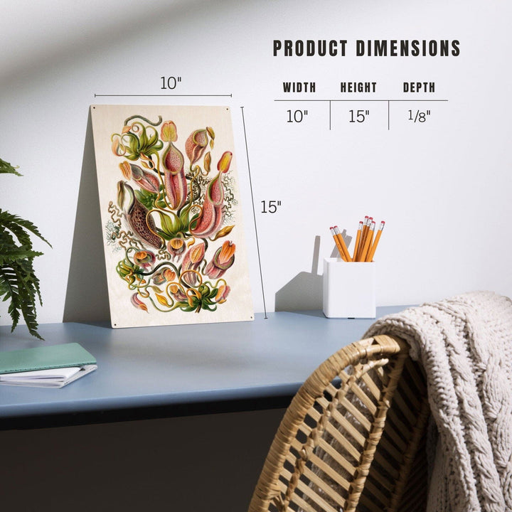 Art Forms of Nature, Nepenthaceae (Plant), Ernst Haeckel Artwork, Wood Signs and Postcards Wood Lantern Press