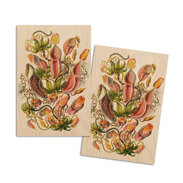 Art Forms of Nature, Nepenthaceae (Plant), Ernst Haeckel Artwork, Wood Signs and Postcards Wood Lantern Press 4x6 Wood Postcard Set