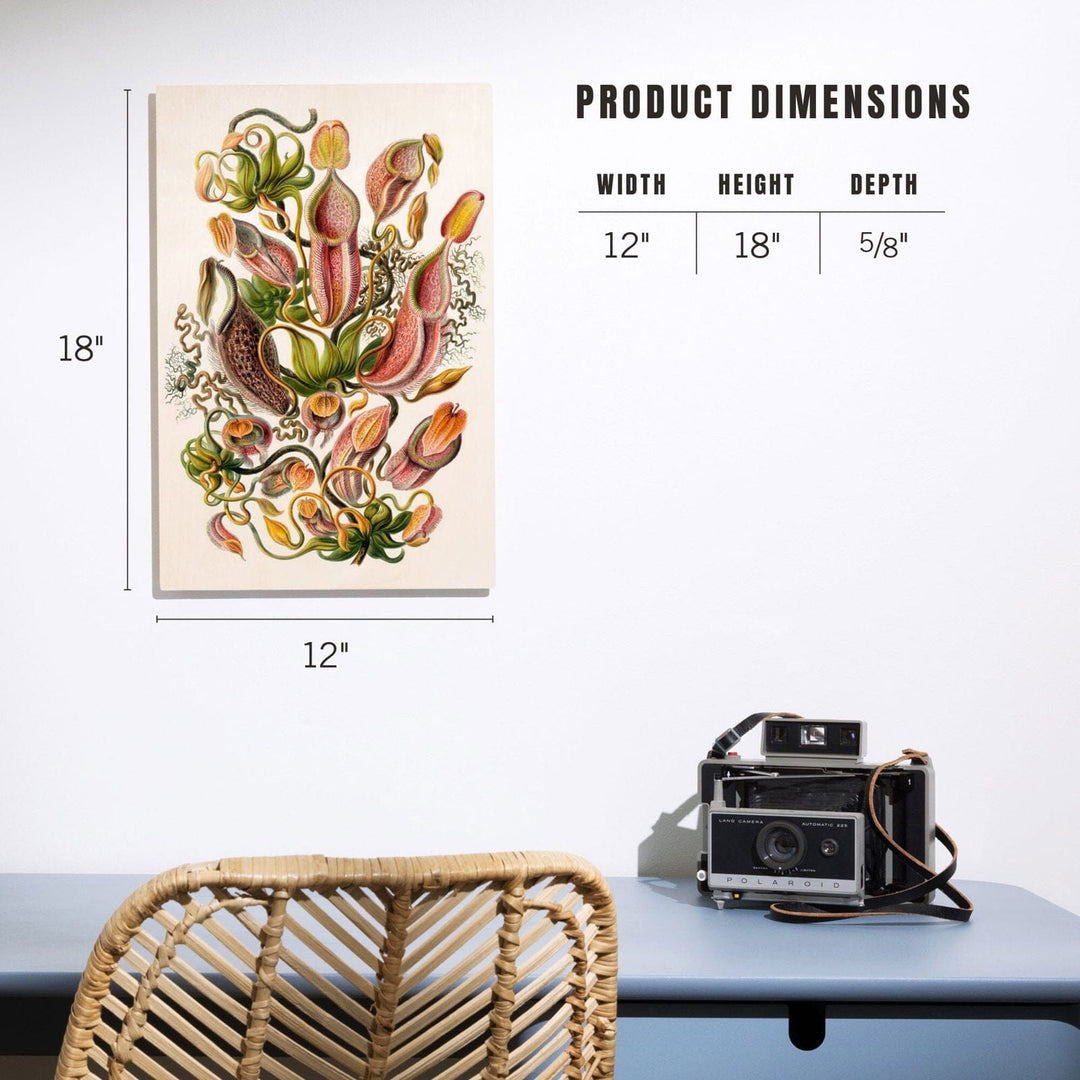 Art Forms of Nature, Nepenthaceae (Plant), Ernst Haeckel Artwork, Wood Signs and Postcards Wood Lantern Press