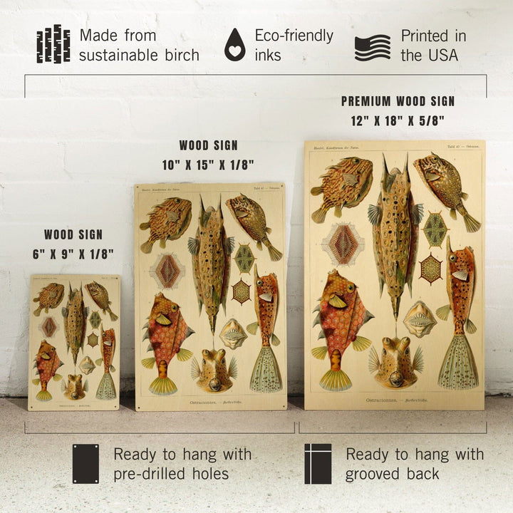 Art Forms of Nature, Ostraciontes (Boxfish), Ernst Haeckel Artwork, Wood Signs and Postcards Wood Lantern Press