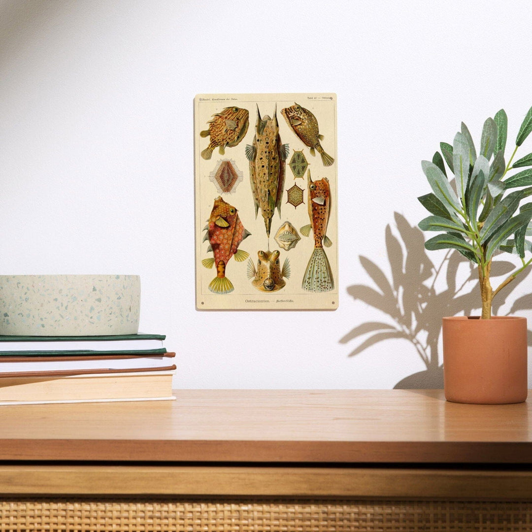 Art Forms of Nature, Ostraciontes (Boxfish), Ernst Haeckel Artwork, Wood Signs and Postcards Wood Lantern Press