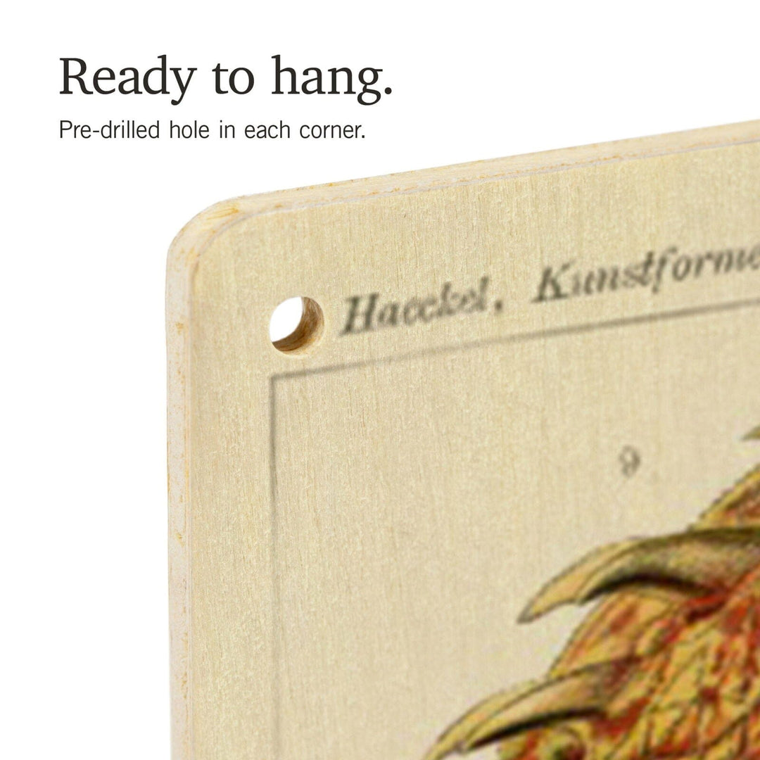 Art Forms of Nature, Ostraciontes (Boxfish), Ernst Haeckel Artwork, Wood Signs and Postcards Wood Lantern Press