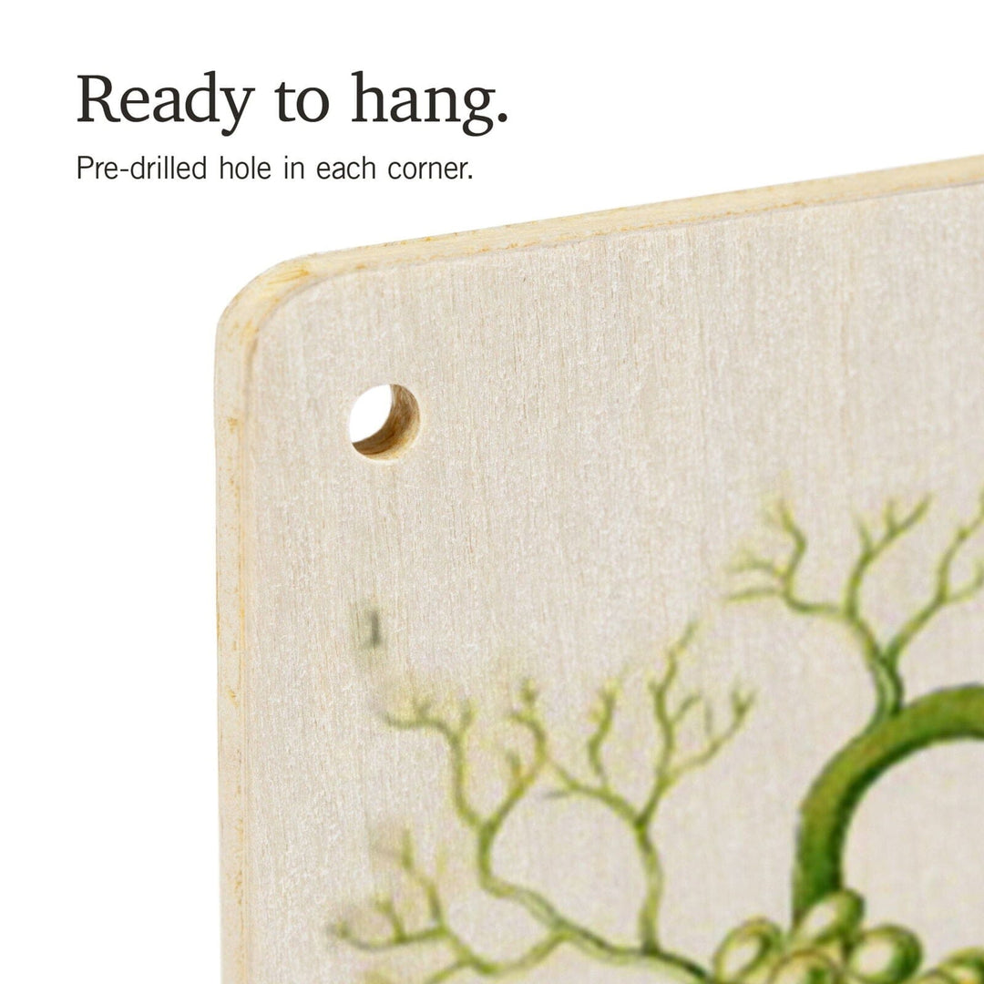Art Forms of Nature, Siphoneae (Algae), Ernst Haeckel Artwork, Wood Signs and Postcards Wood Lantern Press