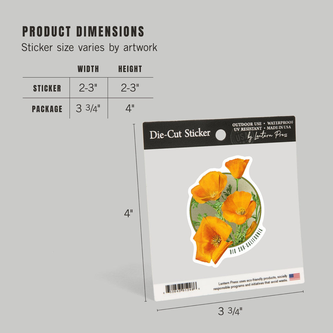 Big Sur, California, Poppy Flowers, Contour, Lantern Press Artwork, Vinyl Sticker - Lantern Press