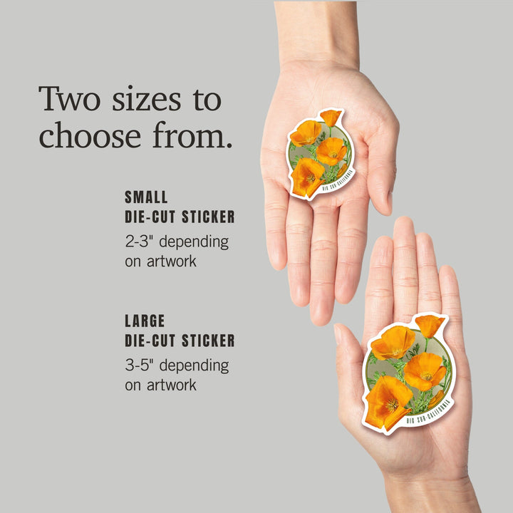 Big Sur, California, Poppy Flowers, Contour, Lantern Press Artwork, Vinyl Sticker - Lantern Press