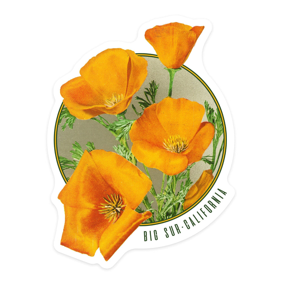 Big Sur, California, Poppy Flowers, Contour, Lantern Press Artwork, Vinyl Sticker - Lantern Press