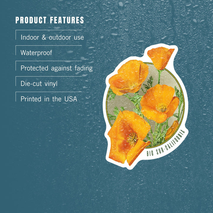 Big Sur, California, Poppy Flowers, Contour, Lantern Press Artwork, Vinyl Sticker - Lantern Press