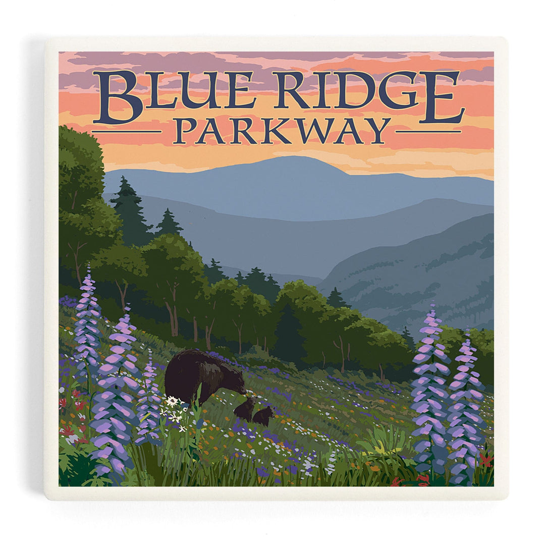 Blue Ridge Parkway, Virginia, Bear Family and Spring Flowers, Coasters Coasters Lantern Press