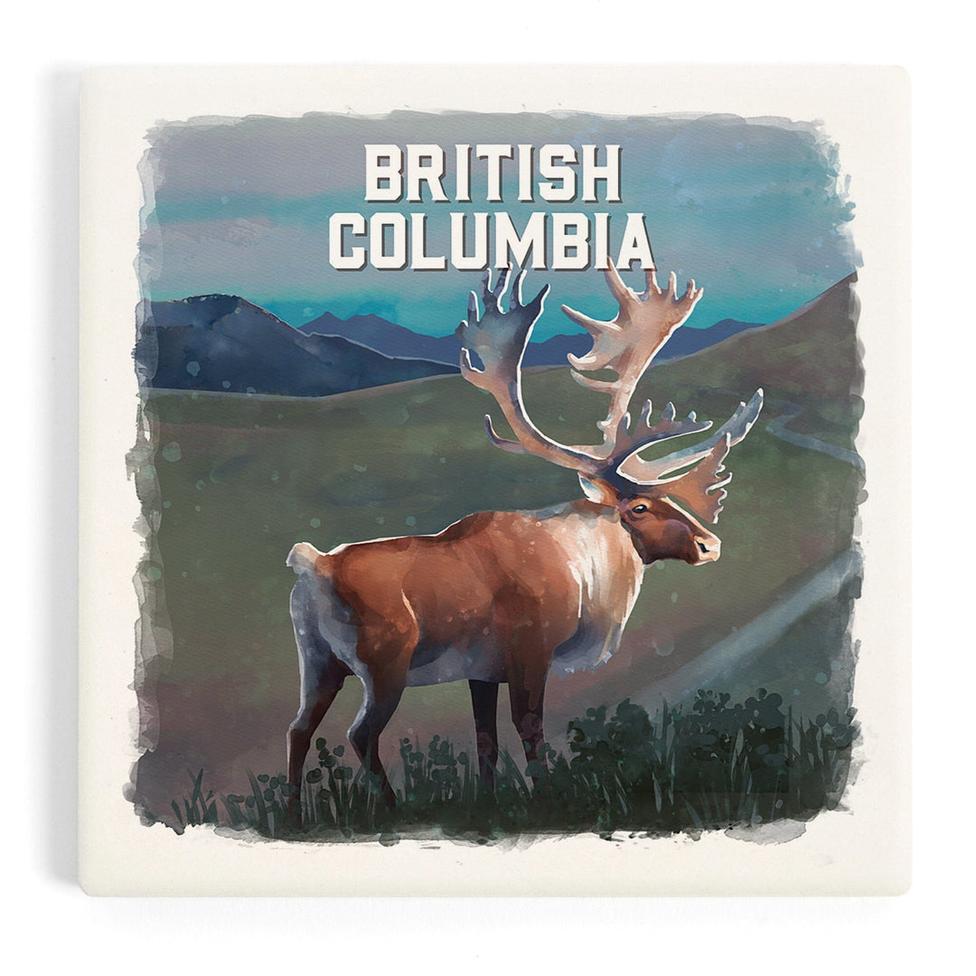 British Columbia, Watercolor Study, Caribou, Coasters Coasters Lantern Press