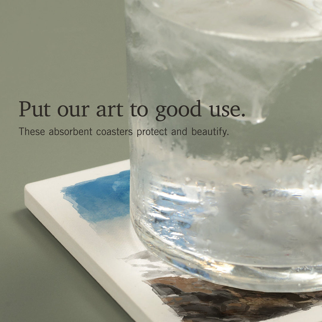 British Columbia, Watercolor Study, Dall Sheep, Coasters Coasters Lantern Press