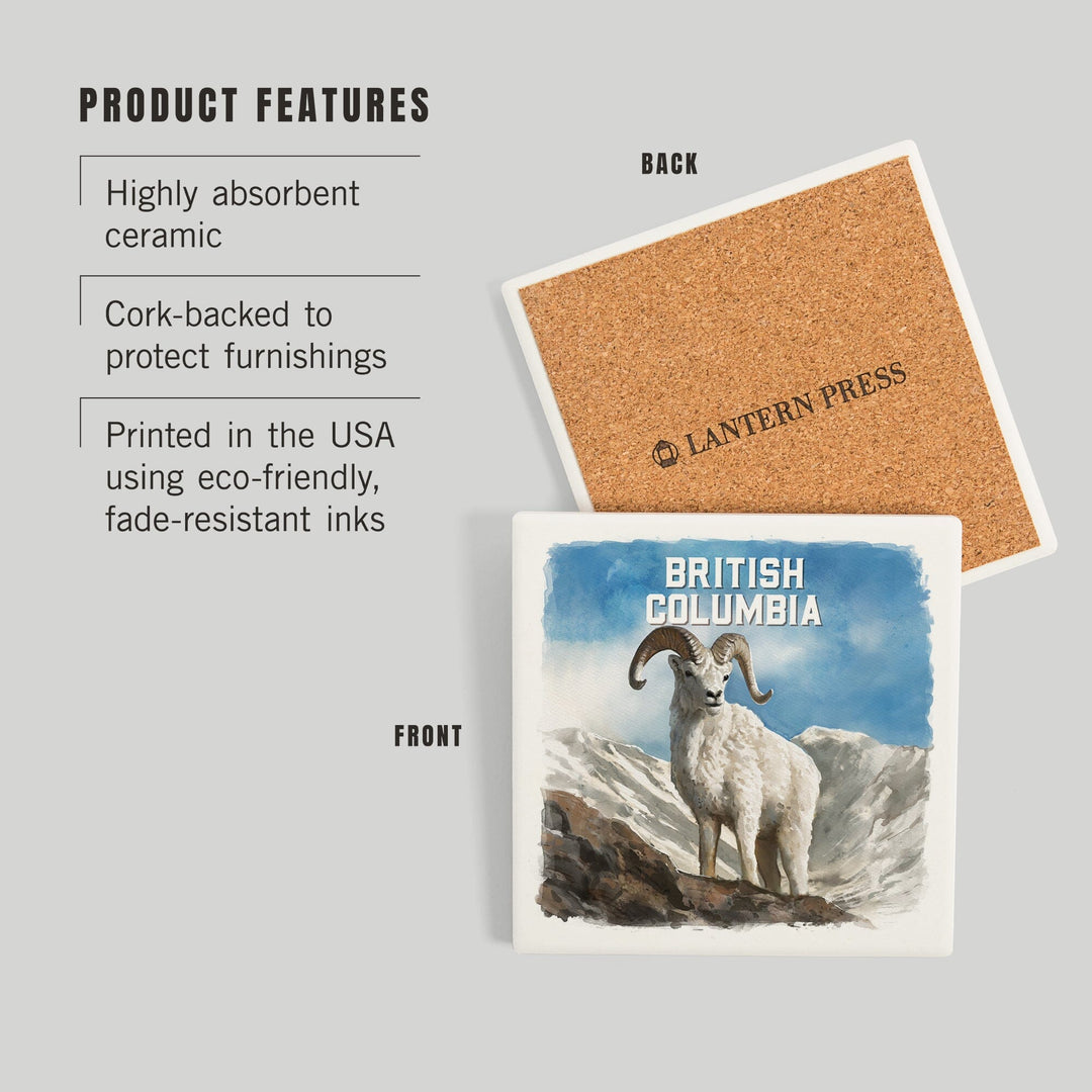 British Columbia, Watercolor Study, Dall Sheep, Coasters Coasters Lantern Press