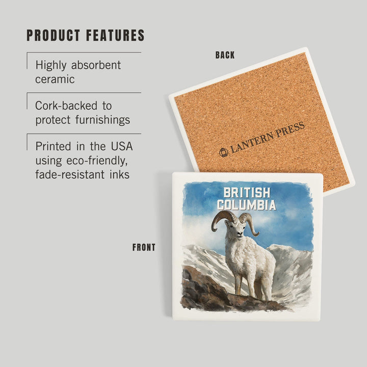 British Columbia, Watercolor Study, Dall Sheep, Coasters Coasters Lantern Press