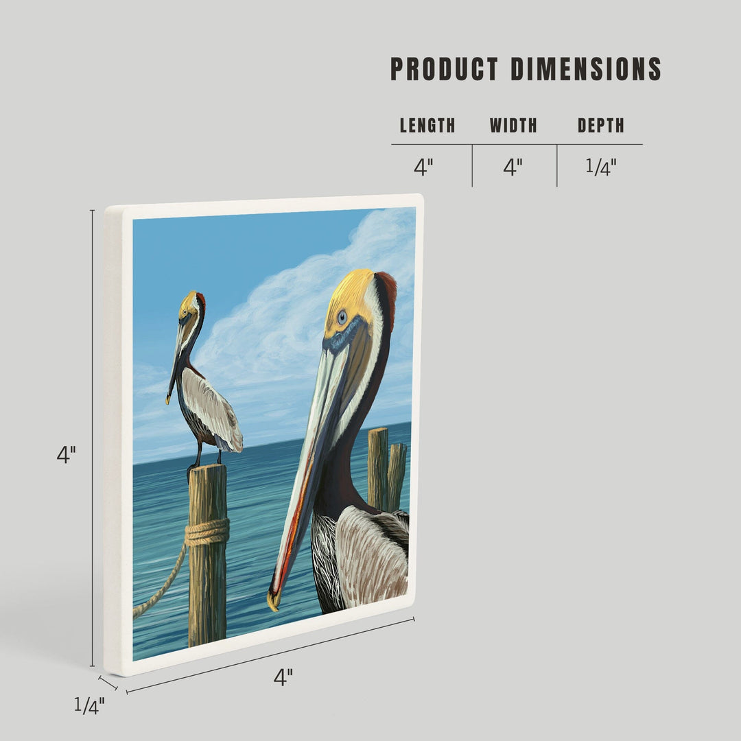 Brown Pelican, Coasters Coasters Lantern Press