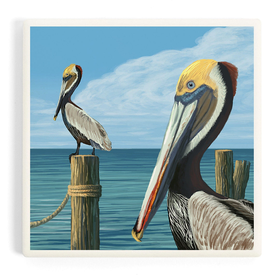Brown Pelican, Coasters Coasters Lantern Press