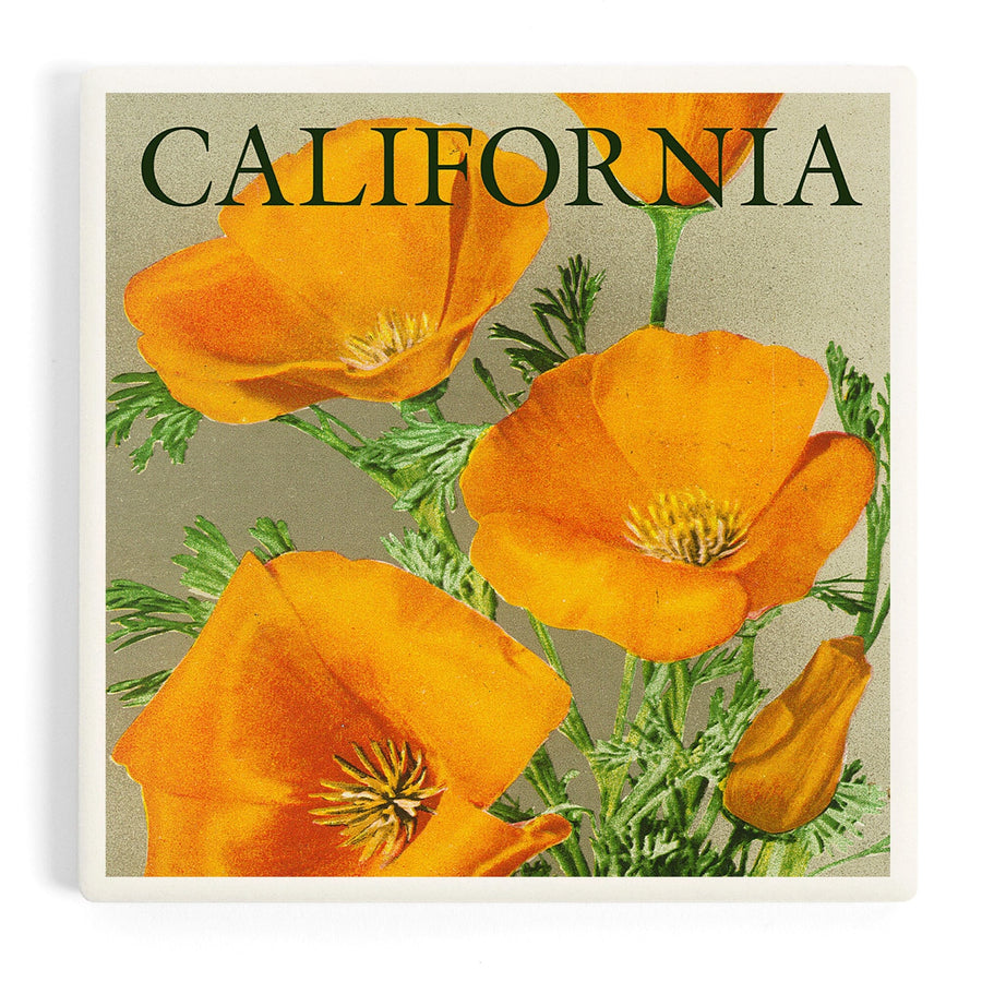 California, Poppies, Coasters Coasters Lantern Press