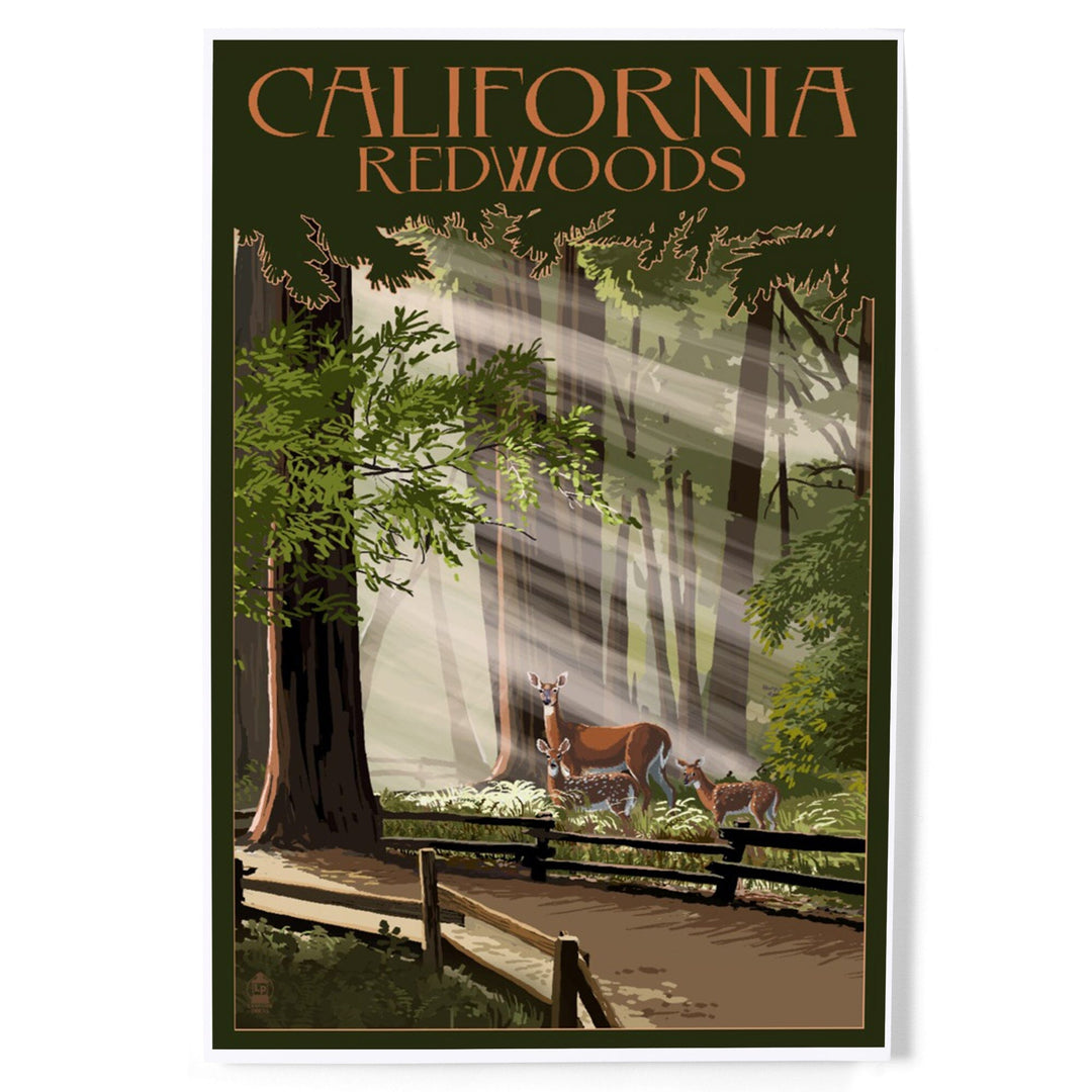 California, Redwoods and Deer, Art & Giclee Prints - Lantern Press