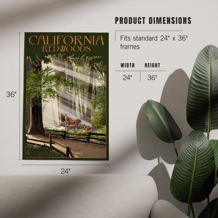 California, Redwoods and Deer, Art & Giclee Prints - Lantern Press
